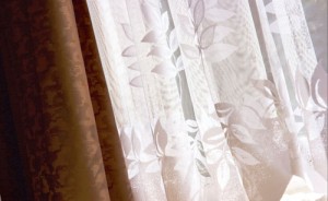 shutterstock_3133200