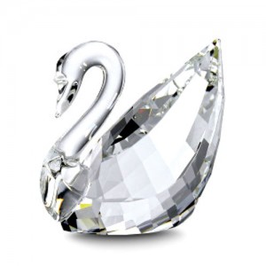Maxi Swan