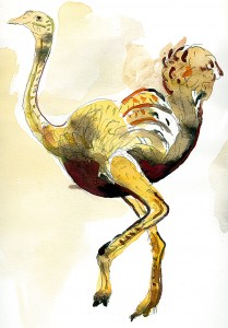 34