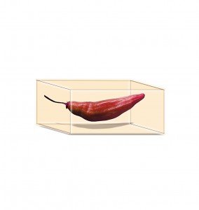 49-(rectangle)