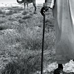 وجوه تمحوها العزلة