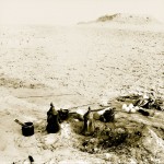 حبة الهال