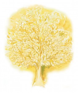 tree(Final1)
