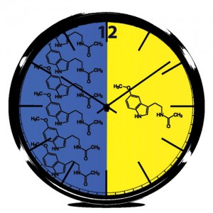 1one-index-dial-wall-clock-white