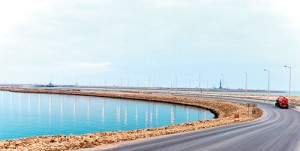 2013C0577_1-1_MJK-(8)