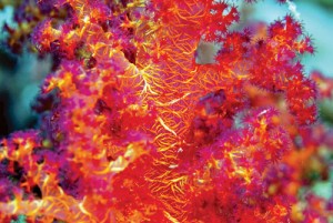 2991_Dimension Summer 2012---90x60 E Book