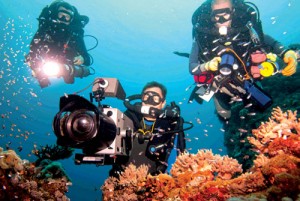 2991_Dimension Summer 2012---90x60 E Book