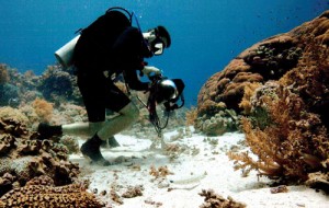 2991_Dimension Summer 2012---90x60 E Book