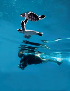 2991_Dimension Summer 2012---90x60 E Book