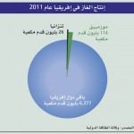 القارة السمراء