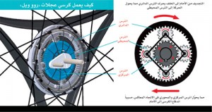 hayat-5
