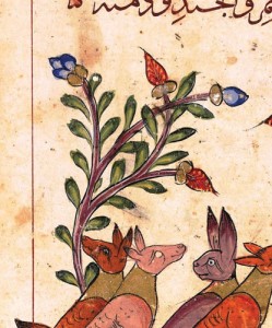 leaf