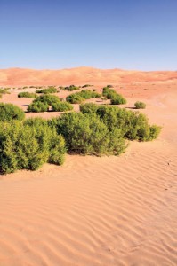 shutterstock_109339334