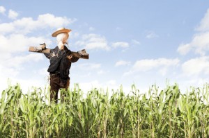 shutterstock_62874346