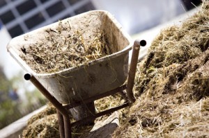 shutterstock_65658274