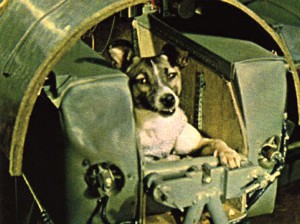 laika-sputnik-2