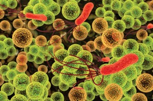 shutterstock_127889213