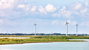 shutterstock_82486990