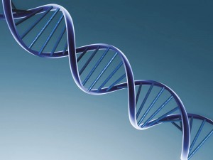 90b (dna-double-helix)