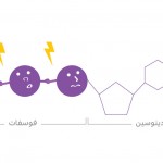 العُملة الحيوية