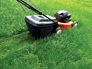 shutterstock_105345143