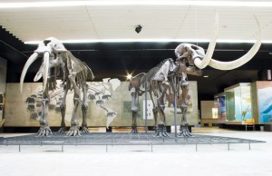 shutterstock_192344210