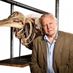 ديفيد أتنبرو Attenborough: 60 Years in the Wild