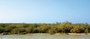 ???????????????????????????????