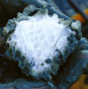 Gashydrat_mit_Struktur