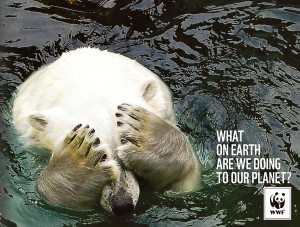 social-awareness-powerful-animal-ads-50