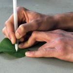 من المختبر