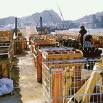 JubileeSultanQaboosOman