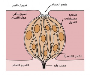 page 28 a