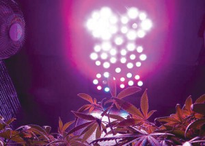 x5-led-grow-light
