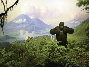 Amnh_fg03