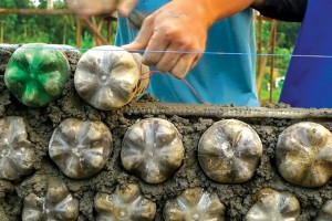 plastic-bottle-wall