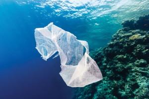 shutterstock_116610904