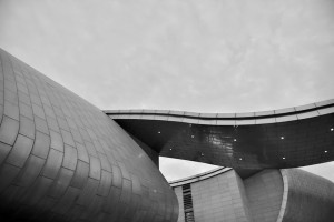 DSC_7400 G
