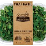 basil