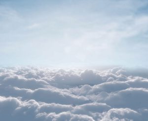 shutterstock_155428127_contrasted