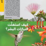 مع القرّاء