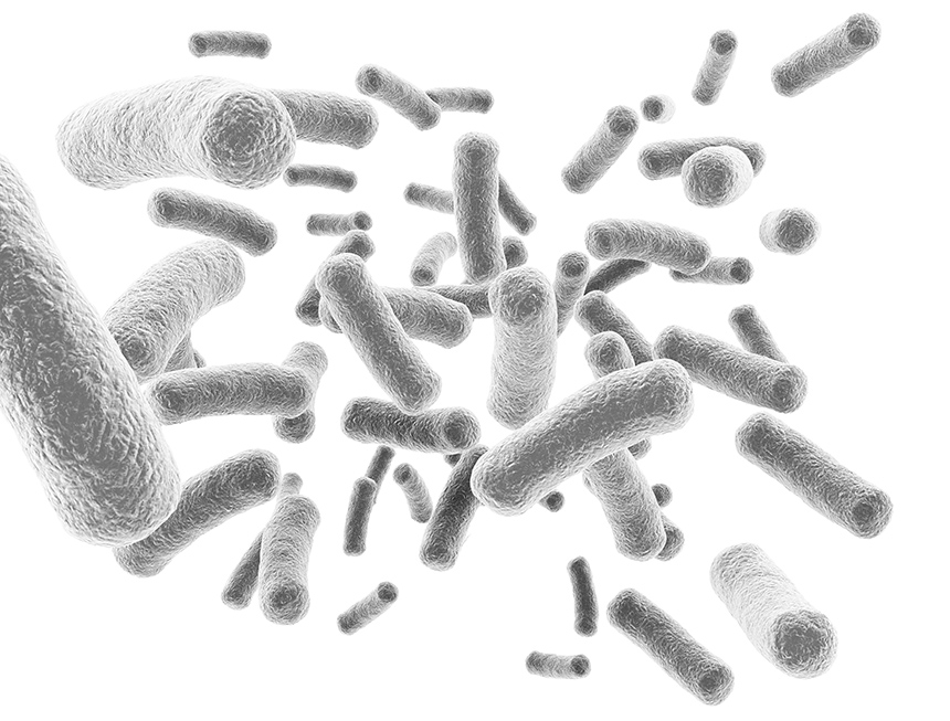 البصمة البكتيرية للإنسان