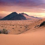 الصحراء لا تحتاج علاجاً
